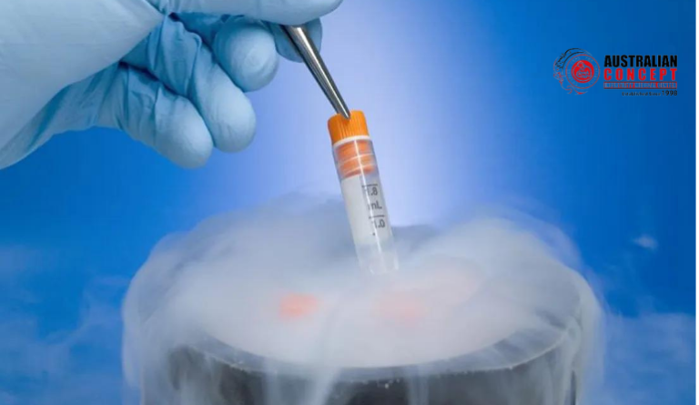 embryo transfer